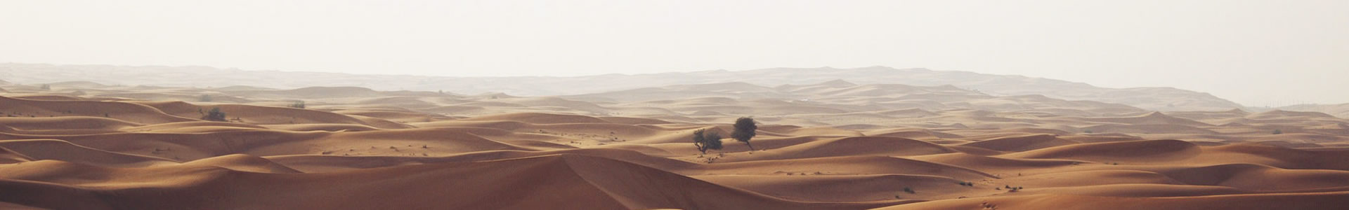 ɽڬҵƼ޹˾